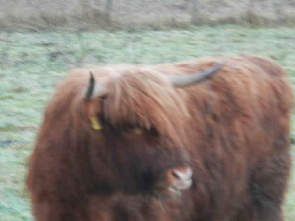 Clunebeg Lodge Drumnadrochit Bagian luar foto
